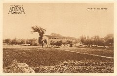 313-domaine Arena,3